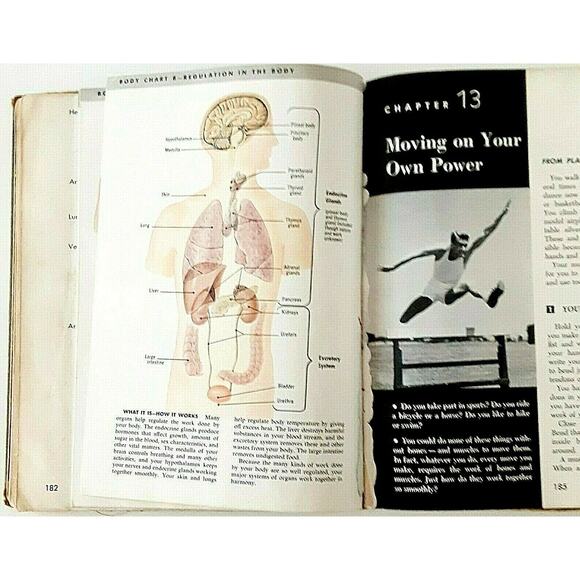 Your Biology 1958 Textbook Vintage Science Diagrams Albany GA High School RARE - Picture 9 of 12